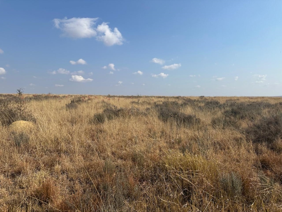 0 Bedroom Property for Sale in Lichtenburg Rural North West
